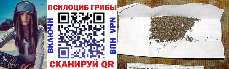 Псилоцибиновые грибы мицелий Шумиха